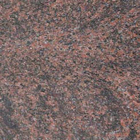 Indian Mahogany